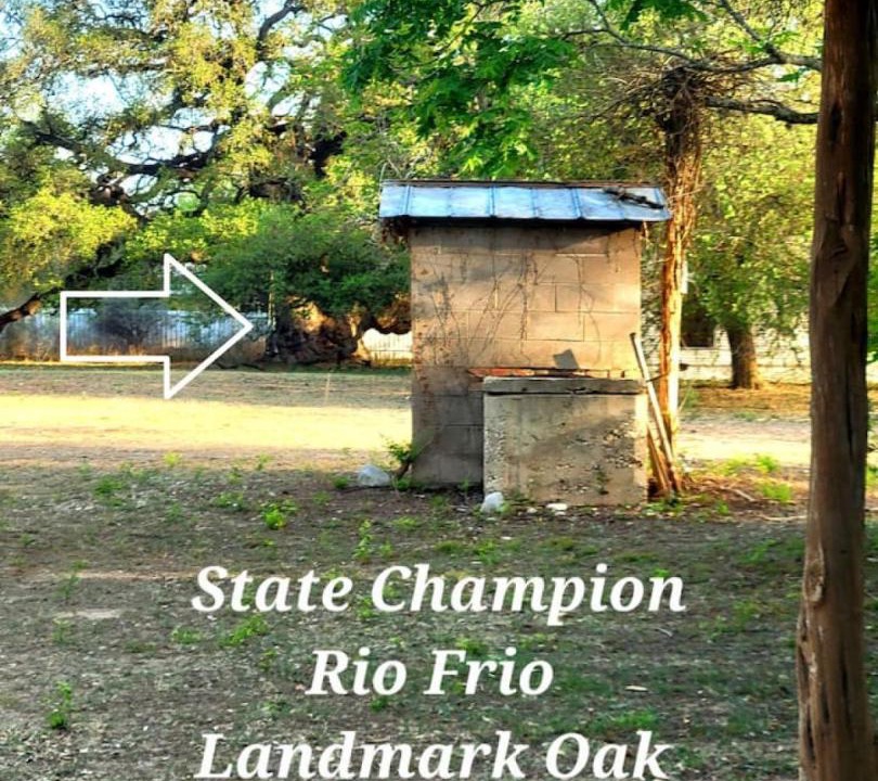 Photo of Outdoor in Rio Frio