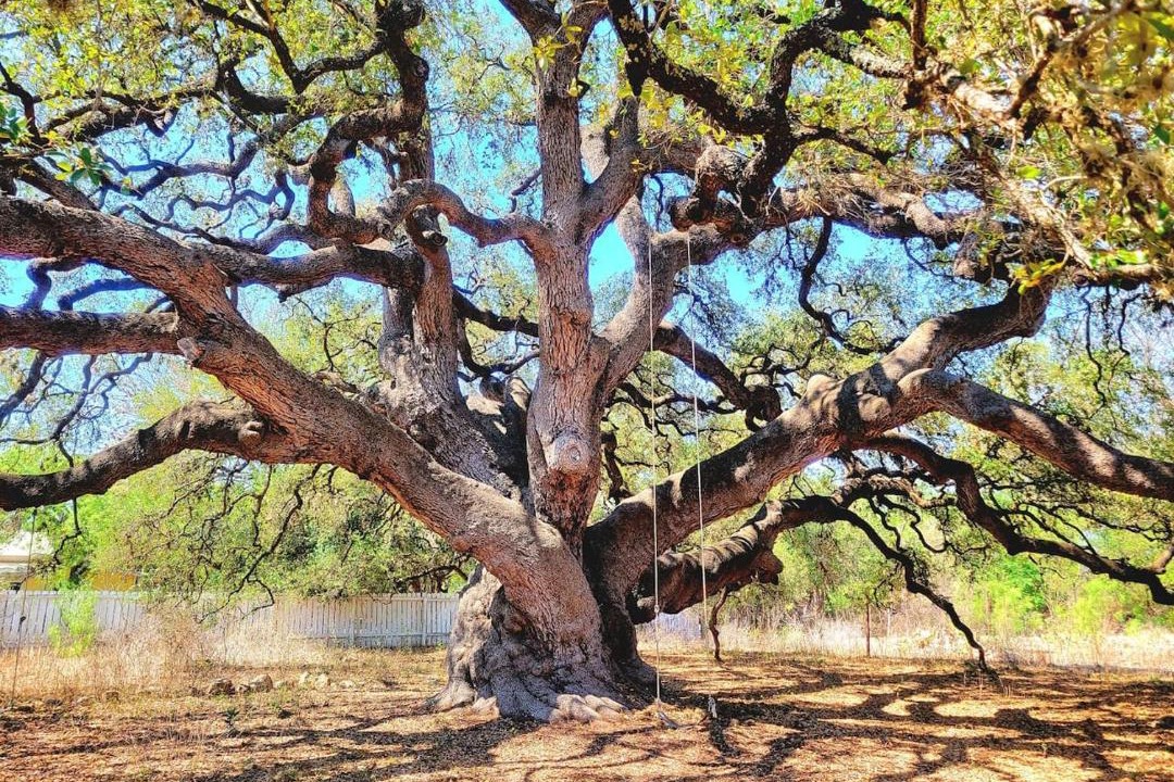 Photo of Others in Rio Frio