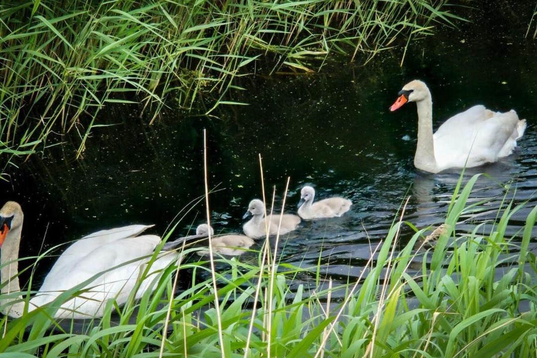 Photo of Others in Seasalter