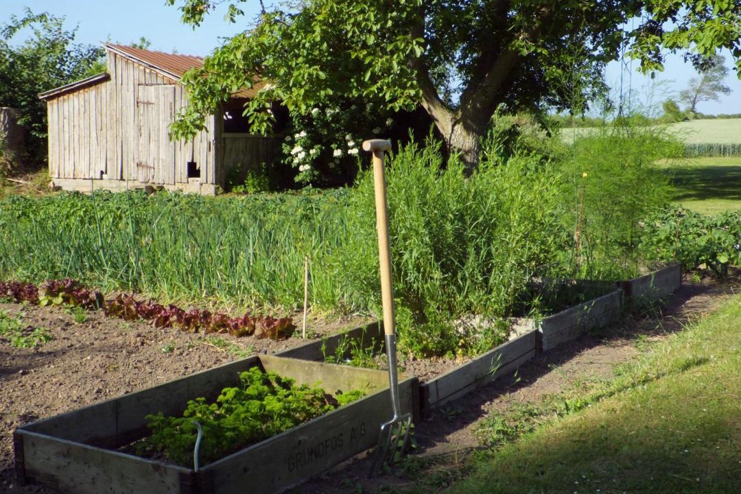 Photo of Buildings in Skalkendrup
