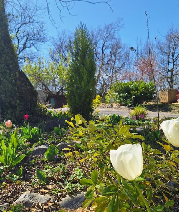 Photo of Outdoor in Durfort
