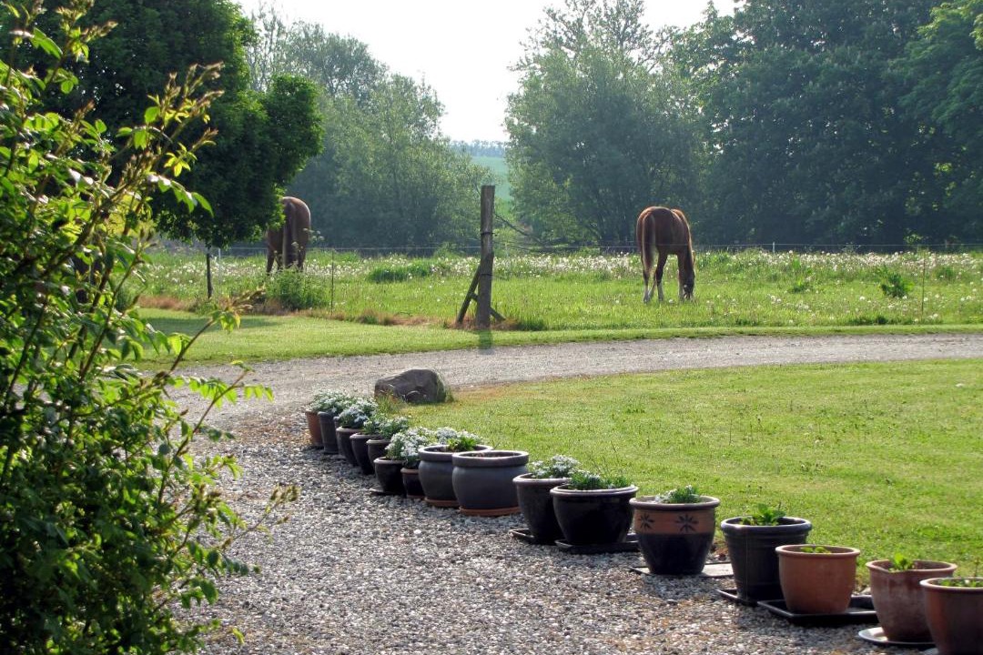 Photo of Others in Skalkendrup