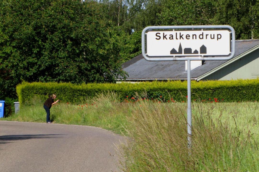 Photo of Buildings in Skalkendrup