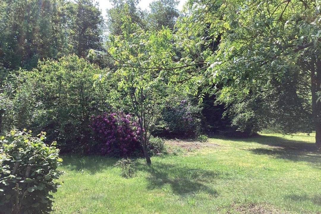 Photo of Outdoor in Læsø