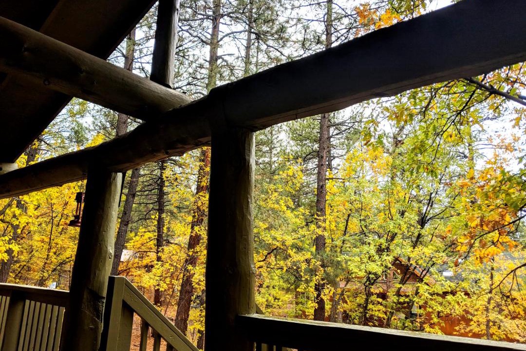 Photo of Others in Pinetop