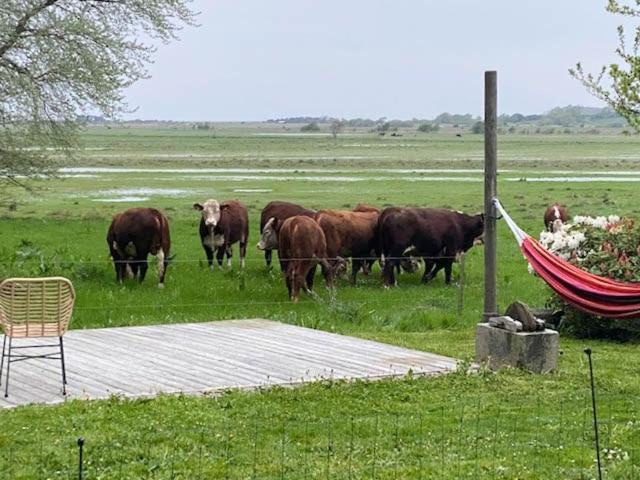 Photo of Others in Ebberup