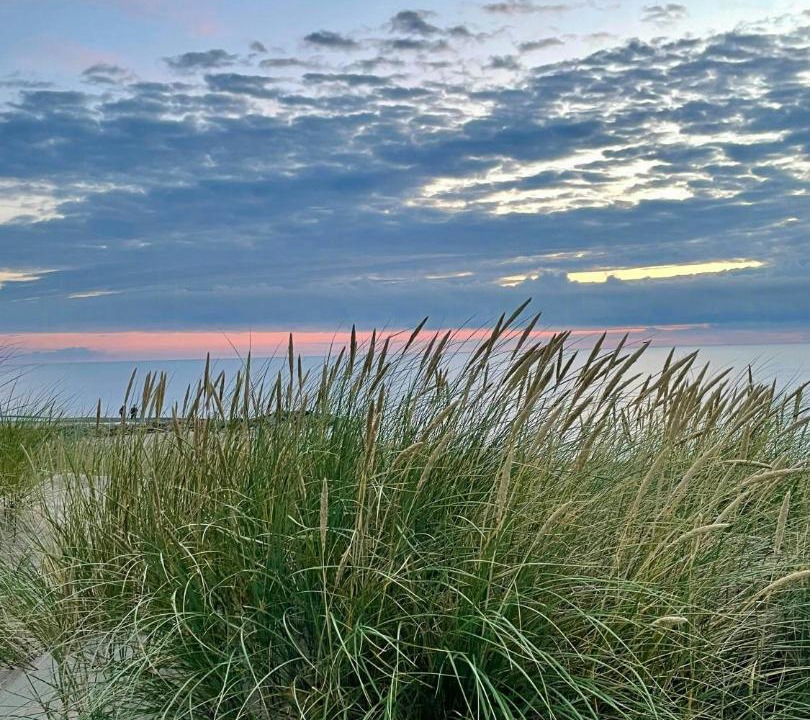 Photo of Others in Skagen