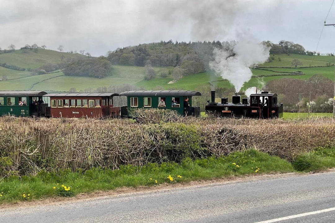 Photo of Others in Welshpool