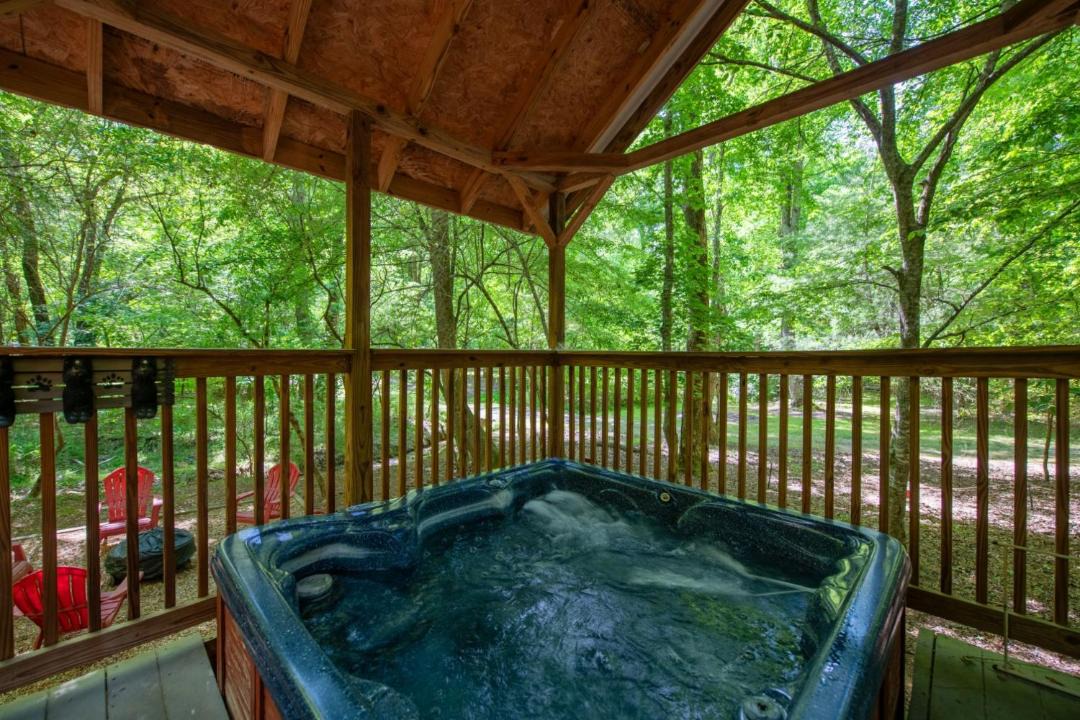Photo of Others in Ellijay