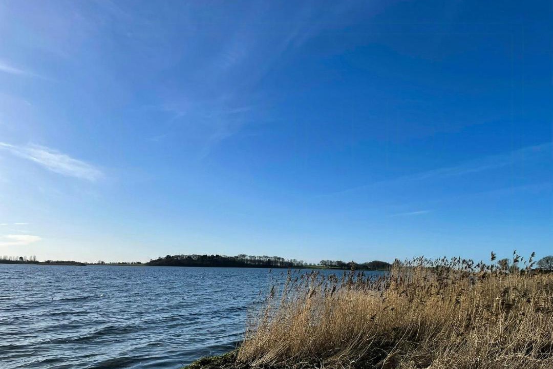 Photo of Others in Haarby