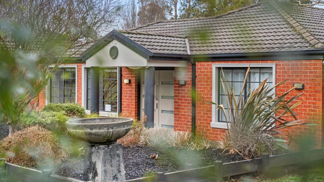 Photo of Others in Magpie