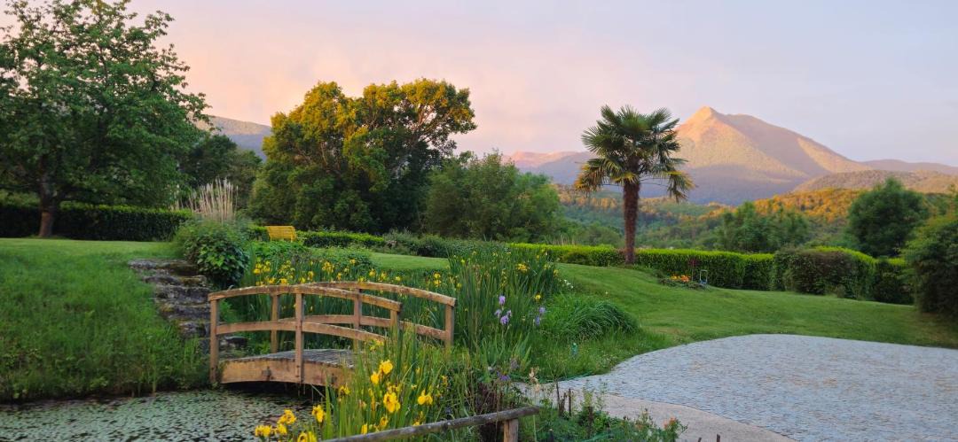 Photo of Others in Estadens