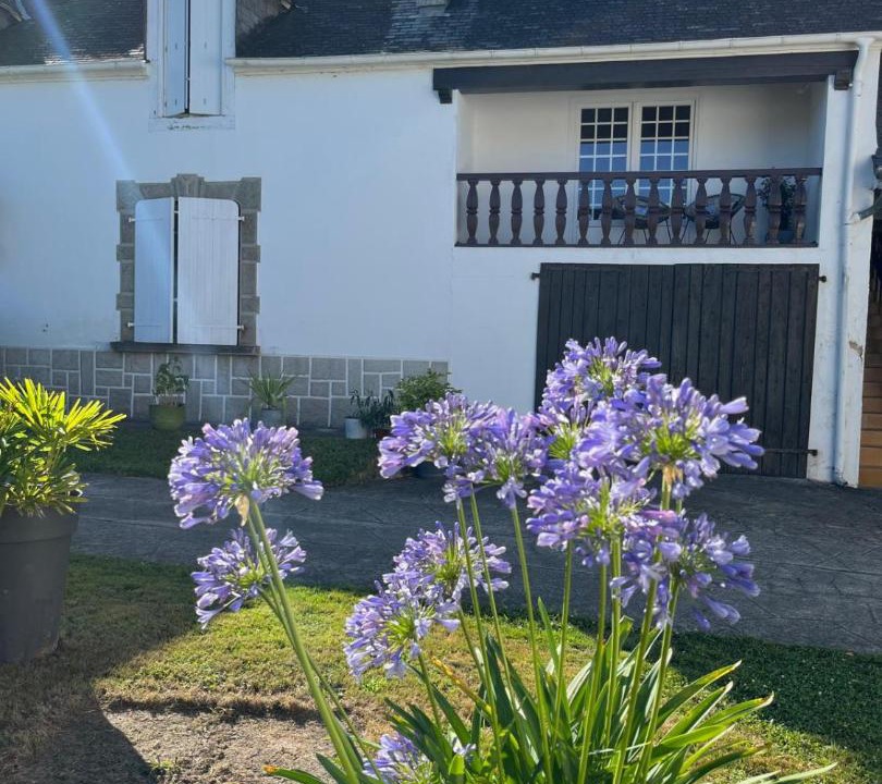 Photo of Others in Livron