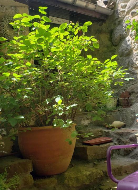 Photo of Others in Camps-sur-l'Agly