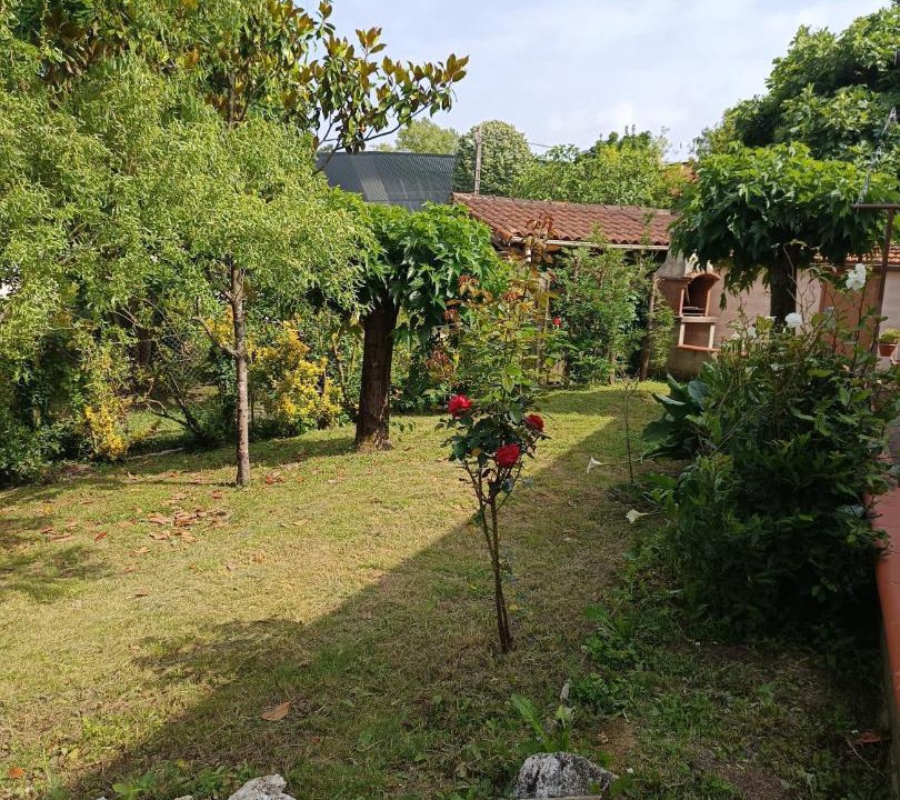 Photo of Others in Carmaux