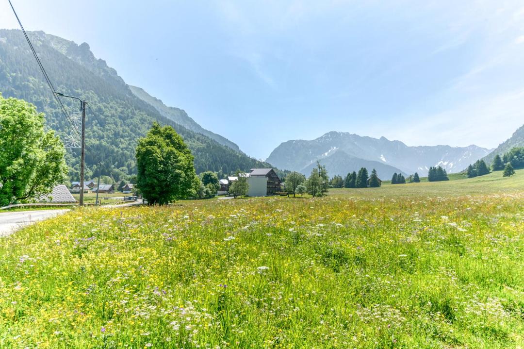 Photo of Others in La Morte