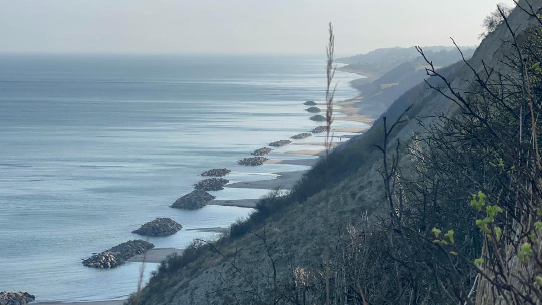 Photo of Others in Holloselund