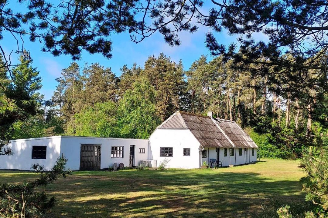 Photo of Others in Læsø