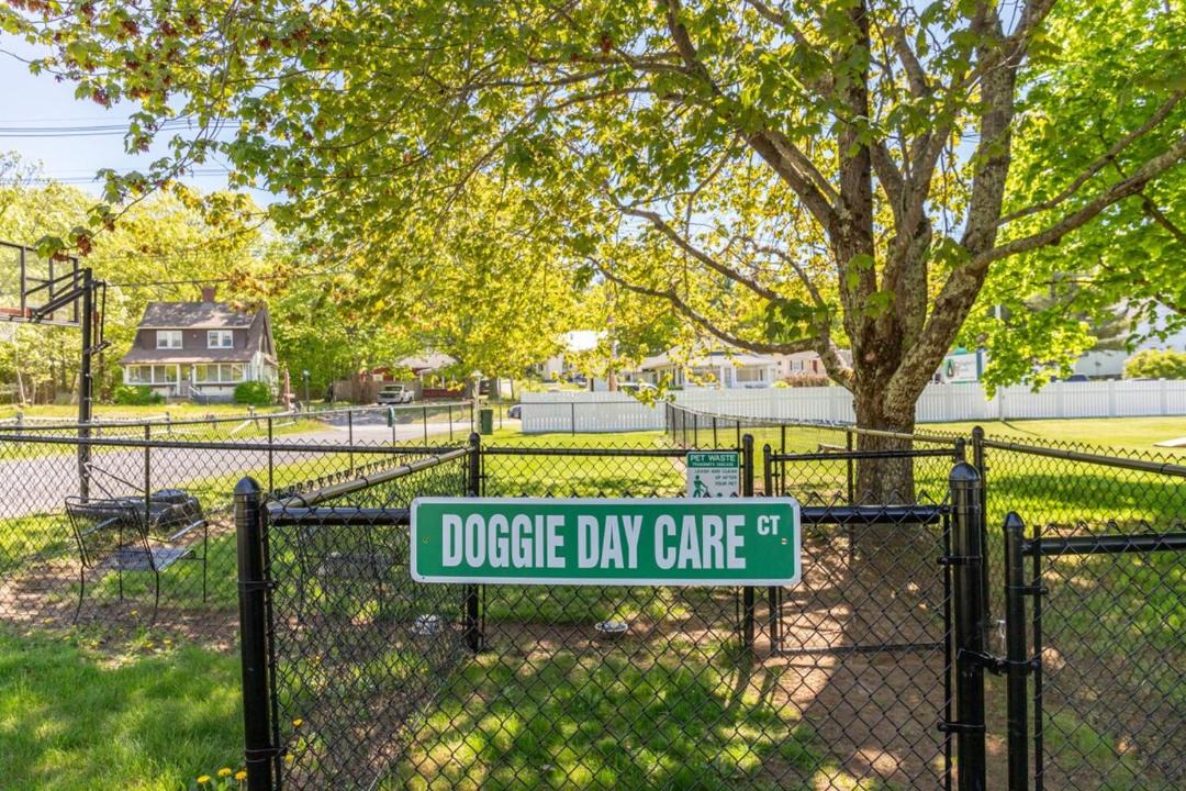 Photo of Others in Hulls Cove