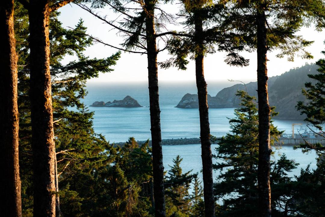 Photo of Others in Port Orford