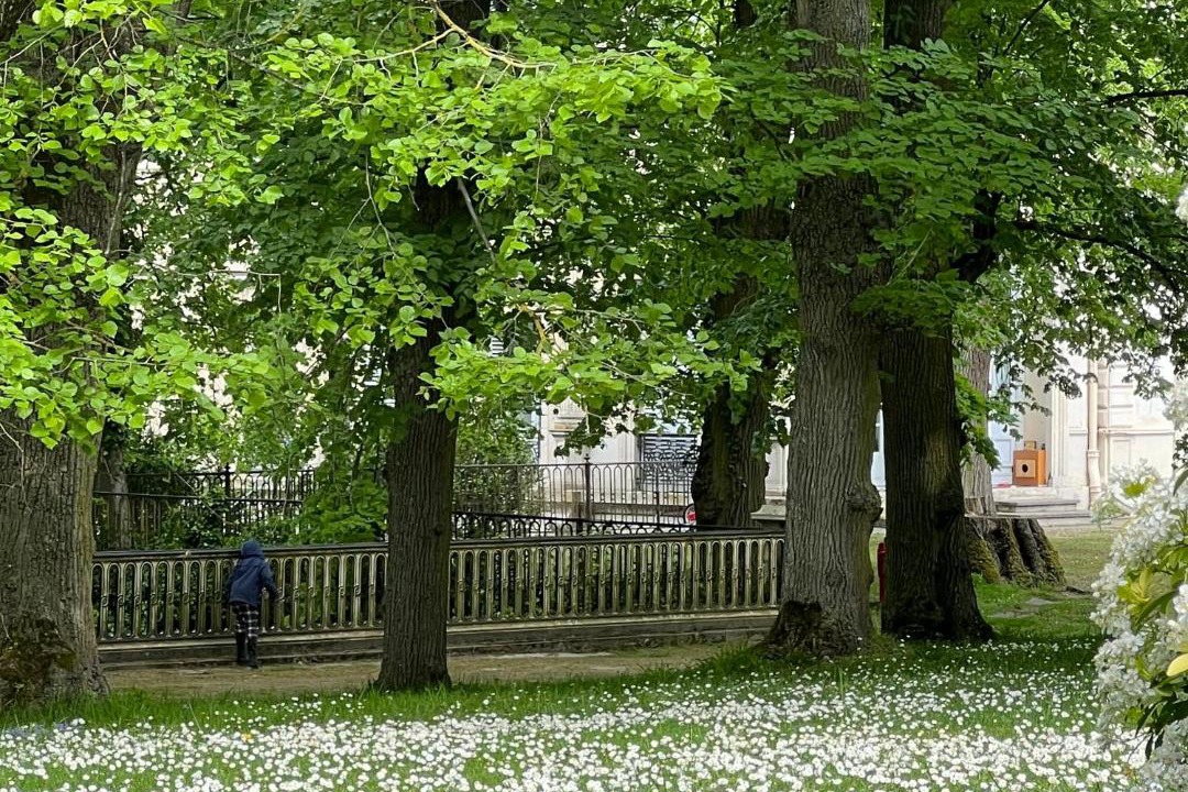 Photo of Others in Boissy-Saint-Leger