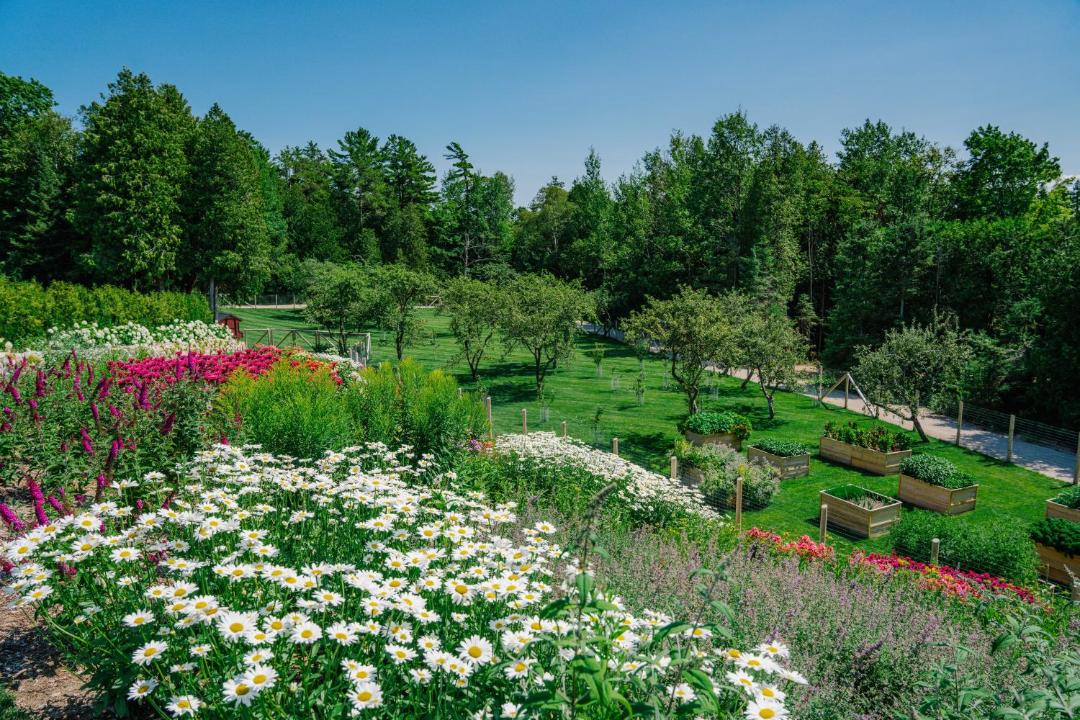 Photo of Outdoor in Mackinac Island