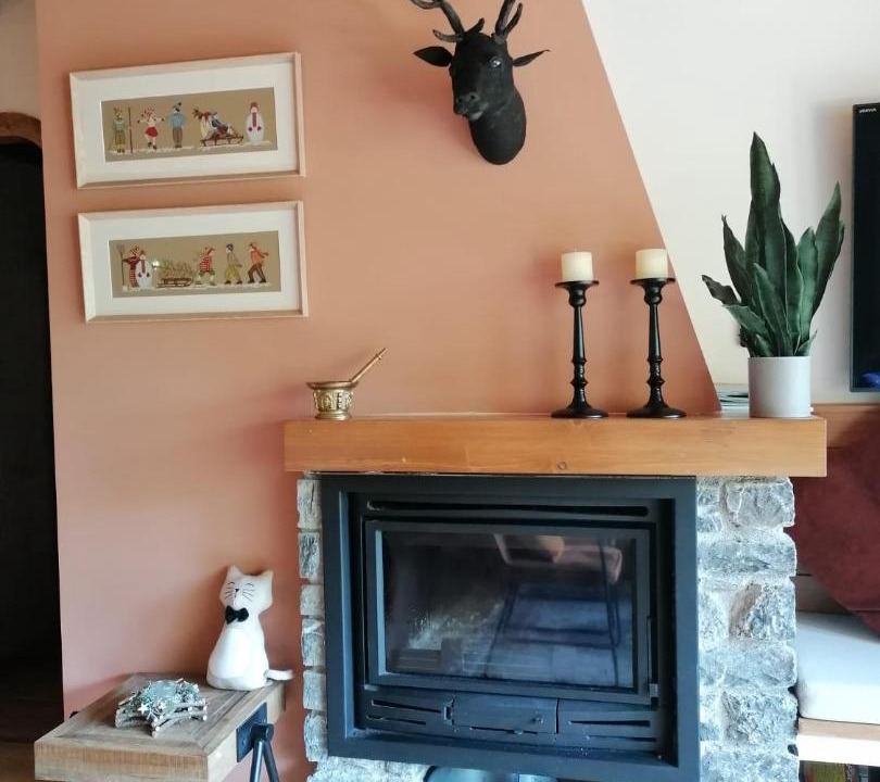 Photo of Livingroom in Alt Aneu