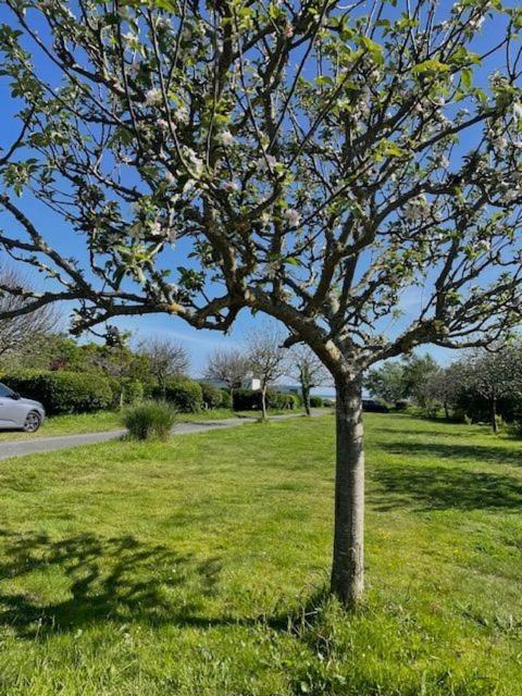 Photo of Outdoor in Treffiagat