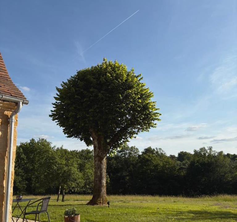 Photo of Others in La Chapelle-Aubareil