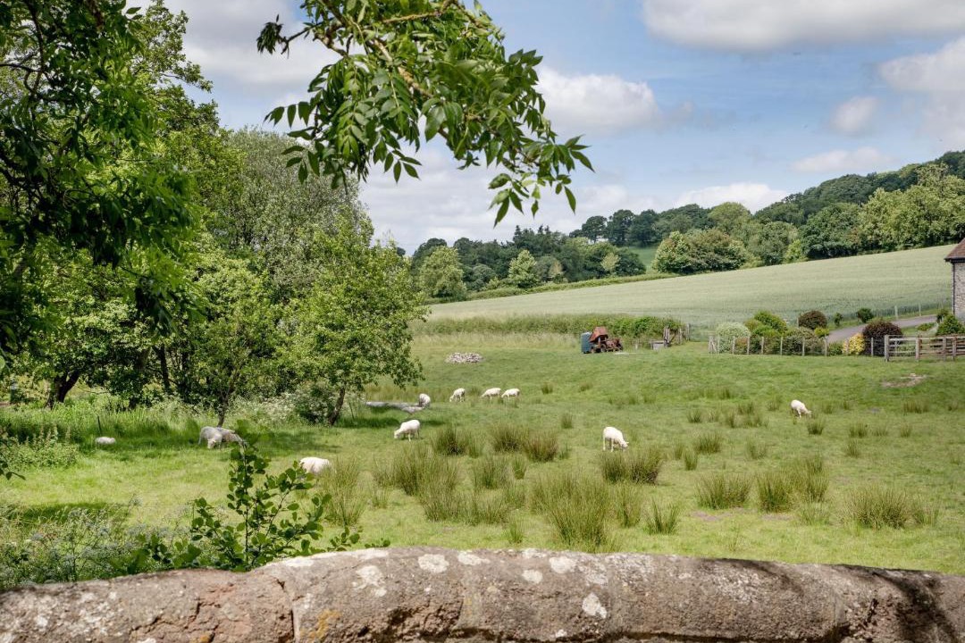 Photo of Others in West Buckland