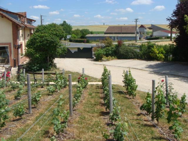 Photo of Others in Epernay - Coteaux et Plaine de Champagne