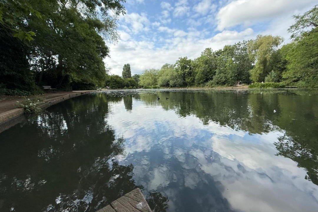 Photo of Others in Furzedown