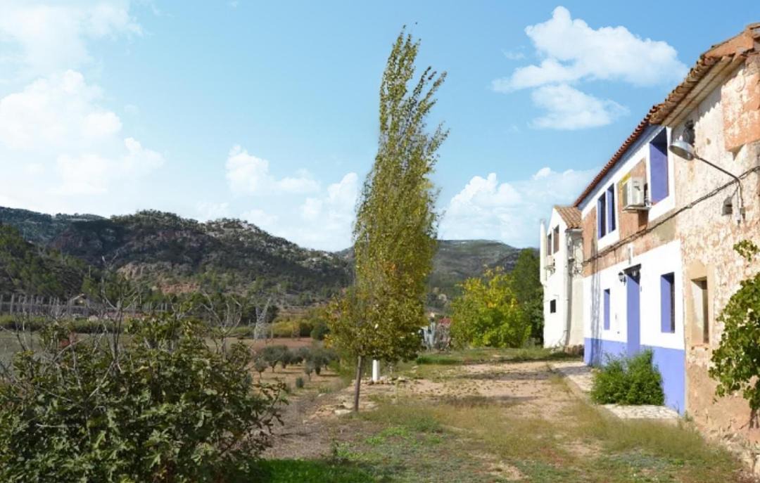 Photo of Others in Cofrentes