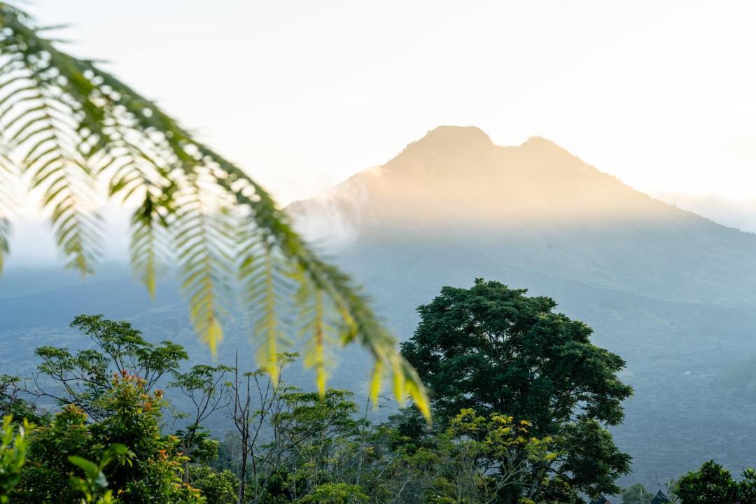 Photo of Others in Kintamani
