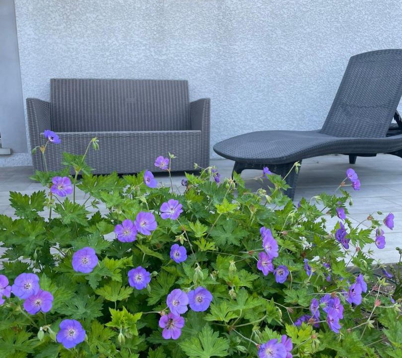 Photo of Others in Villemoustaussou