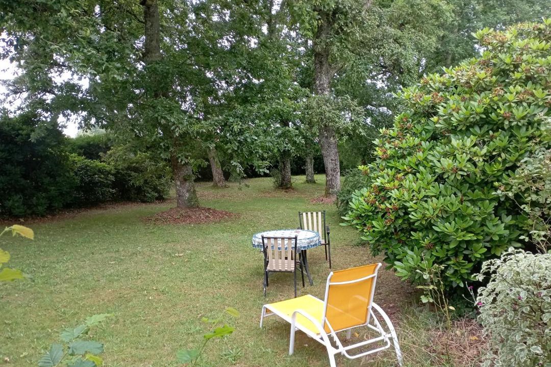 Photo of Others in Leon