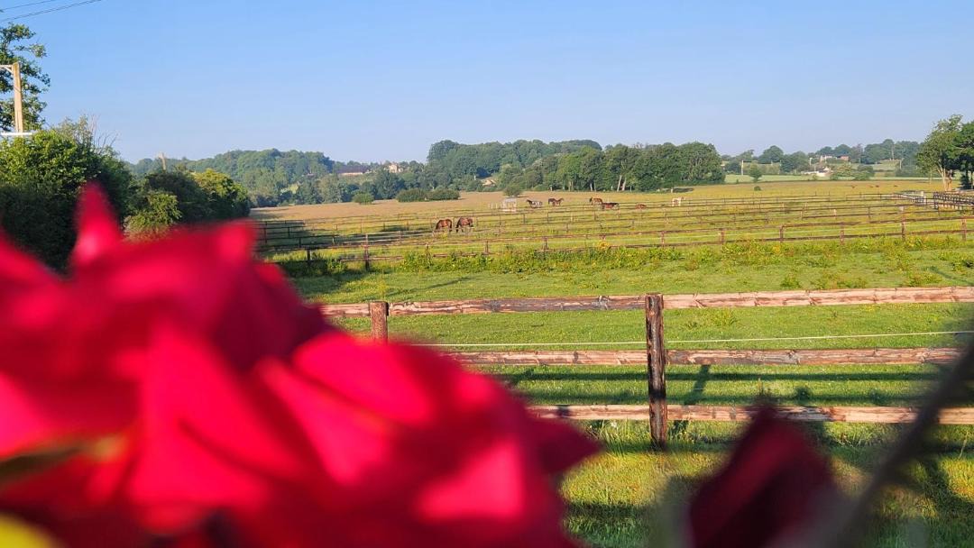 Photo of Others in Saint-Aubin-de-Locquenay