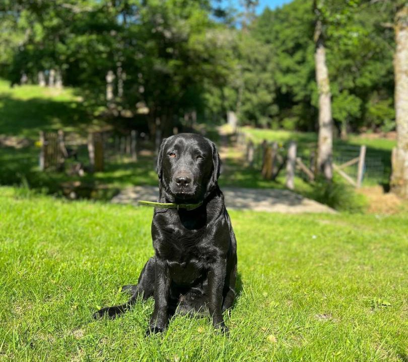 Photo of Others in Saint-Julien-le-Petit