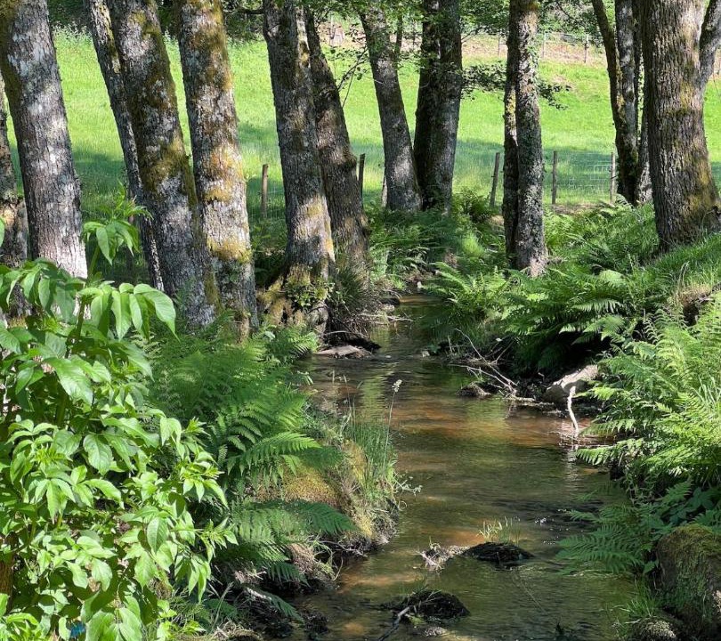 Photo of Others in Saint-Julien-le-Petit
