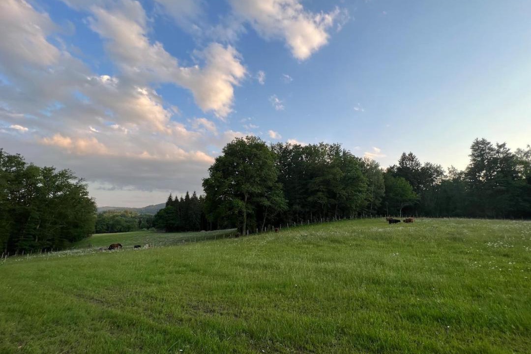 Photo of Others in Saint-Julien-le-Petit