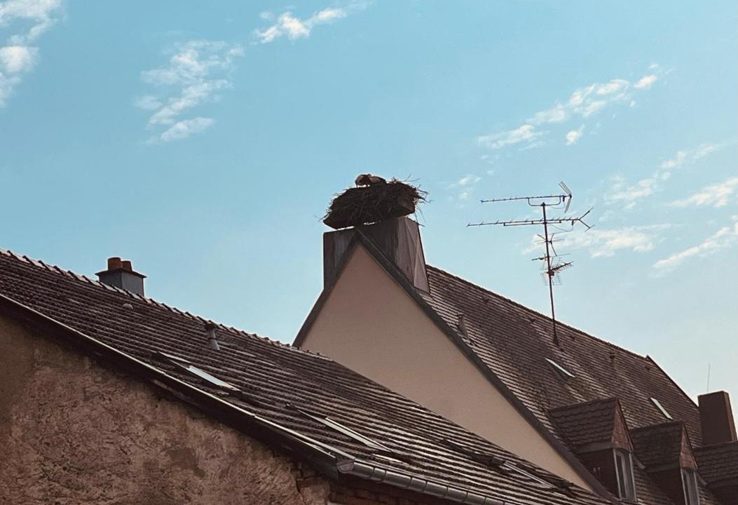 Photo of Others in Ensisheim