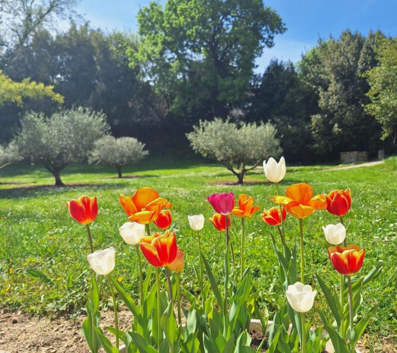 Photo of Others in Martignargues