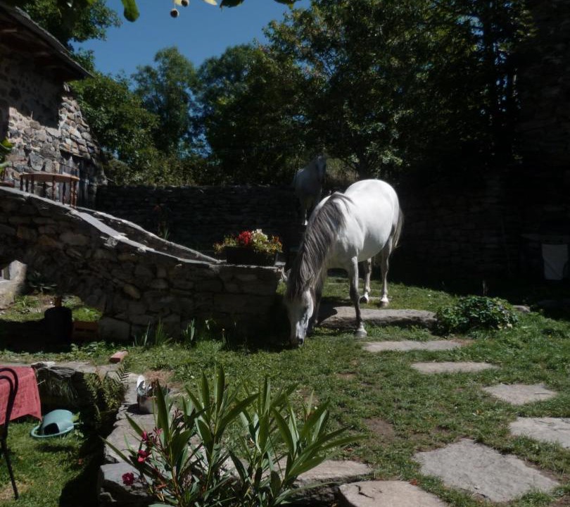 Photo of Others in Yssingeaux