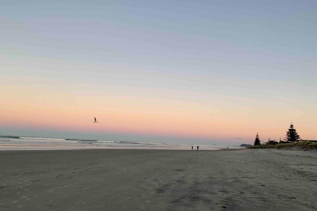 Photo of Others in Waihi Beach