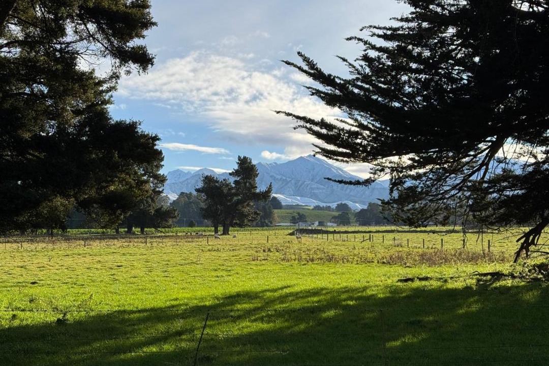 Photo of Others in Geraldine