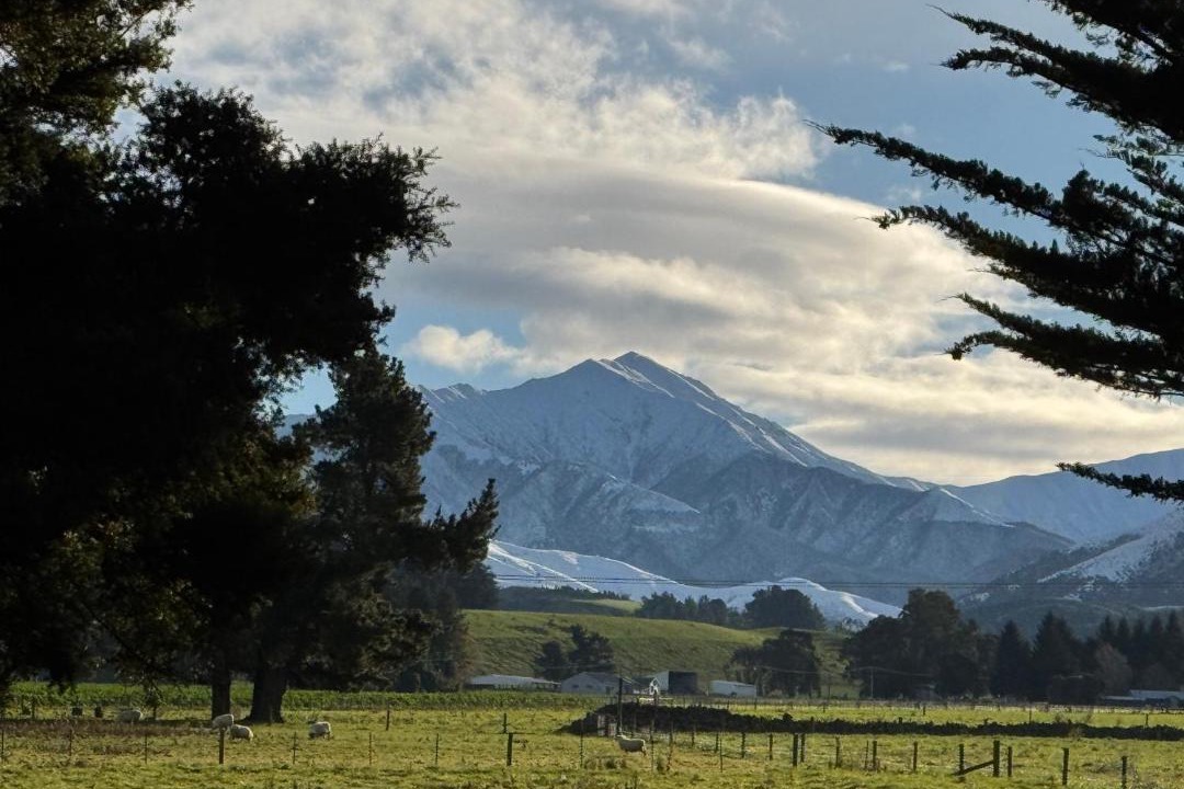 Photo of Others in Geraldine