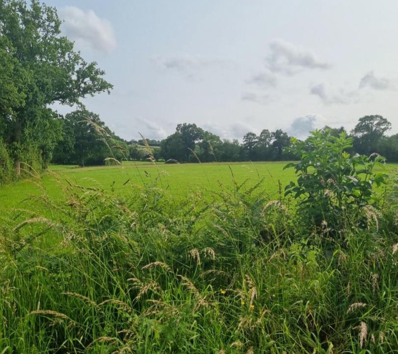 Photo of Others in Saint-Georges-d'Elle