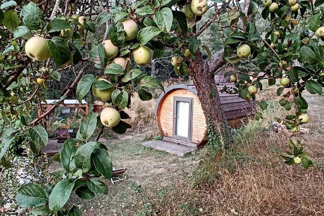 Photo of Others in Tralonca