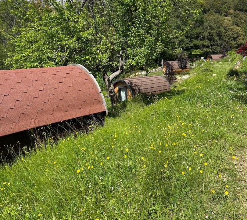 Photo of Others in Tralonca