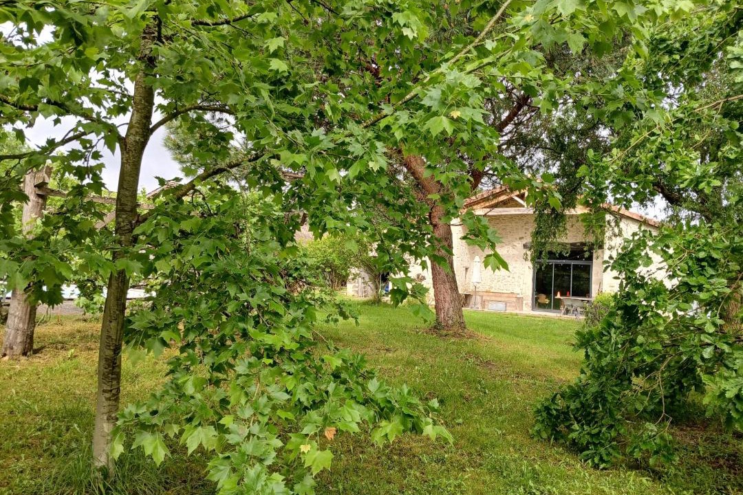 Photo of Others in Casteljaloux